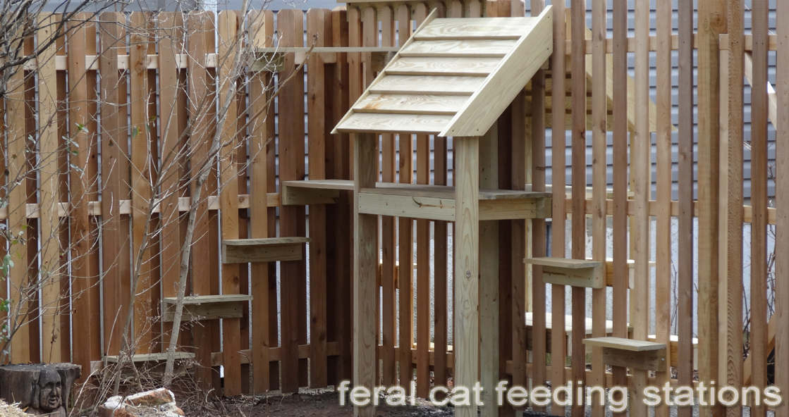 Feral Cat Feeding Stations And Steps So They Can Get In And Out Of The 