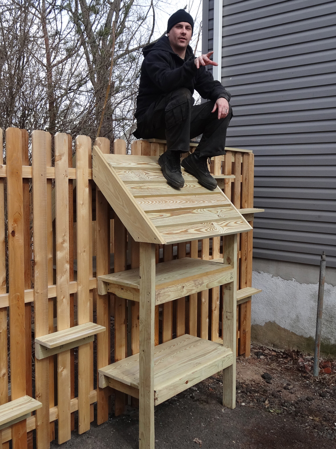 Feral Cat Feeding Stations And Steps So They Can Get In And Out Of The 